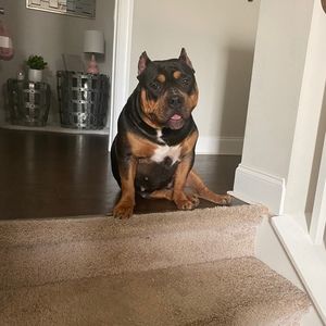 Meet your Posher, Posh